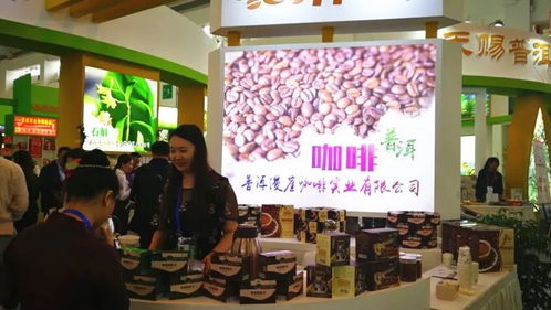 普洱市組團(tuán)參加第五屆中國(guó)—南亞博覽會(huì)暨第二十五屆中國(guó)昆明進(jìn)出口商品交易會(huì)，會(huì)議及展覽服務(wù)全面升級(jí)